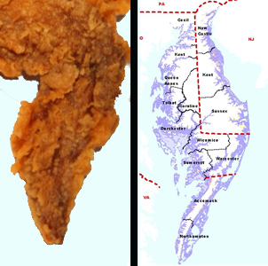 chicken wing
